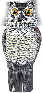 Tête rotative de fausse chouette avec son fonctionnant sur batterie (non inclus) pour dissuader les parasites, les oiseaux et les épouvantails de mon ciel. DIAYTAR COTE D'IVOIRE, leader du commerce en ligne en Côte d'Ivoire, propose une sélection impressionnante de plus de 300 000 références pour répondre à tous vos besoins. Vous trouverez tout ce dont vous avez besoin, des produits de haute technologie aux produits frais et aux articles de mode. Une expérience de shopping unique et pratique vous attend.