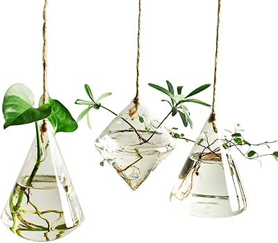 Pots de plantes suspendus en verre, 3 pièces, pots de plantes hydroponiques d'intérieur et d'extérieur, plantes hydroponiques, décoration de jardin de maison. DIAYTAR COTE D'IVOIRE se positionne comme la boutique en ligne la plus complète et la plus fiable de Cote d'Ivoire, proposant plus de 300000 articles pour répondre à tous les besoins de ses clients. Avec une expérience de navigation fluide et des promotions régulières, les clients peuvent faire des achats en toute confiance. La boutique met l'accent sur la qualité et la satisfaction des clients.