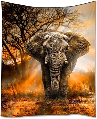 Tapis mural éléphant home h, lumière du soleil d'animaux africains, décoration murale à suspendre pour chambre à coucher, 60" x 90", orange. En tant que leader dans le commerce électronique en Côte d'Ivoire, DIAYTAR COTE D'IVOIRE continue d'innover et de se renforcer pour offrir à ses clients les meilleures expériences d'achat en ligne possible. La boutique se concentre sur la satisfaction du client, offrant un service client de haute qualité et des conseils d'achat personnalisés.