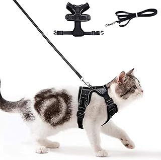 E-ahlan ensemble harnais et laisse de marche pour chat, harnais pour chat doux et respirant, gilet respirant et facile à contrôler pour chiots, chatons, lapins et rongeurs en plein air. DIAYTAR COTE D'IVOIRE propose une expérience d'achat en ligne unique et personnalisée, avec des prix compétitifs et des promotions régulières. La boutique en ligne met à disposition de ses clients une équipe de service client dédiée et des options de livraison rapides. Elle est donc la référence pour les achats en ligne en Côte d'Ivoire.