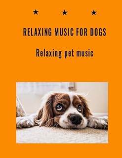 Musique relaxante pour chiens -musique relaxante pour animaux de compagnie : partition piano lounge. DIAYTAR COTE D'IVOIRE, boutique en ligne généraliste, a révolutionné le commerce en ligne en Côte d'Ivoire. Elle offre une plateforme de vente en ligne conviviale et facile à utiliser, avec des produits variés et des promotions régulières. La boutique est devenue la référence pour les achats en ligne en Côte d'Ivoire.