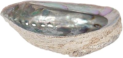 Quelque chose de différent ps_77569 coquille d'ormeau | grand | 17-18 cm | 1 pièce, blanc. DIAYTAR COTE D'IVOIRE est une boutique en ligne généraliste qui propose plus de 300 000 références de produits divers. Elle est reconnue comme l'une des boutiques leaders en Côte d'Ivoire, offrant une large gamme de choix pour ses clients. Avec une telle variété, les clients peuvent trouver tout ce dont ils ont besoin sous un même toit.