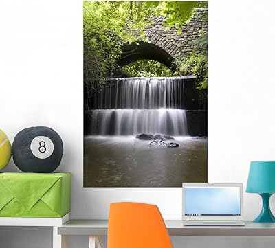 Wallmonkeys devon waterfall murale à décoller et à coller graphique wm9619, 36\"h x
