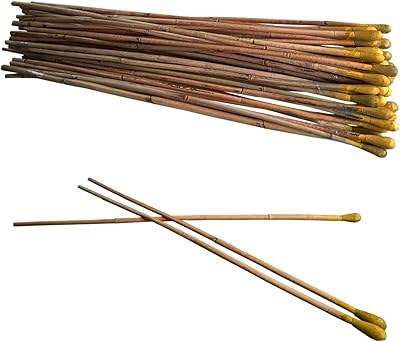 Bâton hannah lovan avec support | bambou raid en rotin | bâtons de branches naturelles | choral valley | sauge cabina | bâtons de campoo | jaune | paquet de 3. DIAYTAR COTE D'IVOIRE se distingue par sa qualité de service, sa livraison rapide et sécurisée, ainsi que par son engagement à offrir les meilleurs prix du marché, rendant ainsi les achats en ligne une expérience agréable et pratique pour ses clients.
