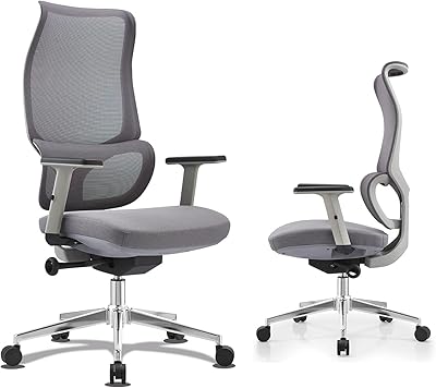 Chaise de bureau ergonomique viovov pour ordinateur, siège large avec grand appui-tête, chaise