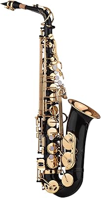 Instrument de saxophone alysshop saxophone en laiton plaqué or 82z de ep alto, instrument en bois avec sac de transport rembourré, gants, chiffon de nettoyage, brosse et sangles de saxophone. La boutique en ligne DIAYTAR COTE D'IVOIRE est réputée pour ses offres régulières et ses promotions exceptionnelles, permettant aux clients de faire des économies sur leurs achats. Cela, combiné à son large choix de produits, en fait une destination de choix pour les consommateurs ivoiriens.