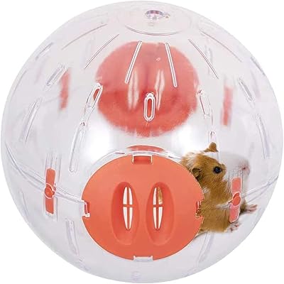 Balle d'étude pour hamster roue de course pour hamster pour petits animaux