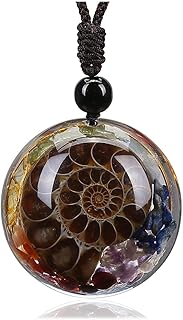 Jovivi 7 chakra pierres précieuses reiki guérison cristal pendentif rond cercle forme ammonite fossile résine puce pierres pendentif pour femmes hommes arbre de vie bijoux de noël. En tant que leader dans le commerce électronique en Côte d'Ivoire, DIAYTAR COTE D'IVOIRE se distingue par sa qualité de service et sa gamme de produits étendue. Les clients peuvent compter sur une assistance client personnalisée et des conseils d'experts pour trouver les produits qui répondent le mieux à leurs besoins. La boutique est accessible en ligne 24h/24, 7j/7, pour plus de commodité.