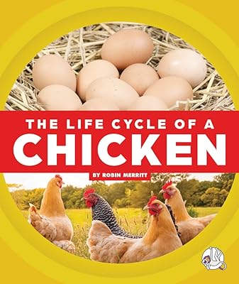 Le cycle de vie d'un poulet. En choisissant DIAYTAR COTE D'IVOIRE, vous optez pour la facilité, la rapidité et la sécurité dans vos achats en ligne. Nous nous engageons à améliorer constamment nos services pour vous offrir une expérience client exceptionnelle.