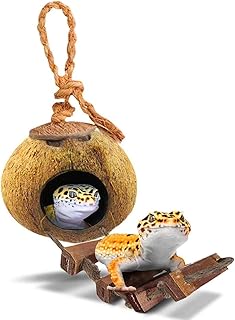 Cabane sungrow en noix de coco brute avec échelle pour guépard