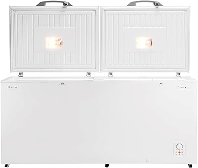 Congélateur coffre hisense, capacité 650 litres, deux portes, argent, modèle fc-65dd4sa - garantie