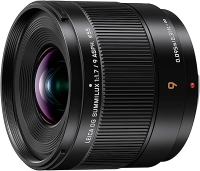 Objectif panasonic lumix micro four thirds, leica dg sumilux 9 mm f1.7 asph