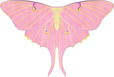 Ailes de fée en soie kreato pour filles de 3 à 9 ans