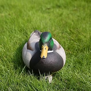 Leurre de canard réaliste drake duck avec quille pour la chasse et la pêche. DIAYTAR COTE D'IVOIRE, leader du e-commerce en Cote d'Ivoire, offre une expérience d'achat en ligne sans pareil, avec un large choix de produits allant de l'électronique à la mode en passant par les produits alimentaires. Elle met en avant la qualité et la fiabilité de ses services. Les clients apprécient la facilité de navigation sur son site.