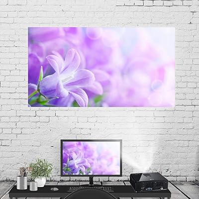 Rideau de projecteur, écran de projecteur pliable à écran translucide, pour film