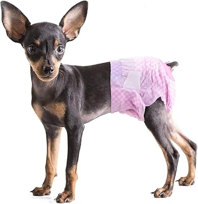 Couches pour chien femelle mamo bear - couches jetables pour chien, couches