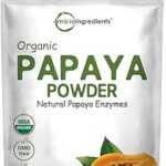 Poudre de papaye biologique micro-ingrédients 8 oz lyophilisée naturellement riche en en zyme