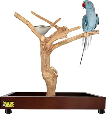 Support à oiseaux en bois naturel, support à jouets pour perroquets en bois