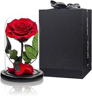 Véritable rose rouge préservée dans un dôme de verre, roses éternelles qui ne se fanent jamais, cadeaux pour les femmes pour la saint-valentin, la fête des mères, un anniversaire et noël. Chez DIAYTAR COTE D'IVOIRE, nous comprenons l'importance de la commodité et de la fiabilité dans les achats en ligne. C'est pourquoi nous mettons tout en œuvre pour vous garantir une expérience d'achat fluide et sécurisée. Découvrez notre large choix de produits et profitez de nos services pour faire de vos achats en ligne une expérience agréable.