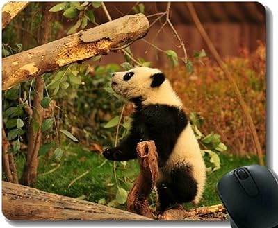 Tapis de souris de jeu flying pig men avec bord cousu, panda boys animal, tapis de souris, tapis de souris à base de caoutchouc antidérapant pour ordinateur portable, ordinateur. DIAYTAR COTE D'IVOIRE est une boutique en ligne généraliste qui propose plus de 300000 références de produits. Elle est leader en Côte d'Ivoire et offre une grande variété de choix pour les consommateurs. Elle est réputée pour sa qualité de service et sa rapidité de livraison.