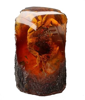 Spécimen d'insecte d'ambre fossile, spécimens d'insectes de crabe créatifs, pierre d'ambre, pierre d'ambre, décoration de bureau, fournitures éducatives scientifiques, fournitures scolaires, cadeaux de vacances pour enfants. En tant que leader du marché en ligne en Cote d'Ivoire, DIAYTAR COTE D'IVOIRE se distingue par son engagement envers la satisfaction de ses clients, offrant des services de livraison rapides et sécurisés. Avec plus de 300000 références, elle couvre tous les aspects de la vie quotidienne, des produits alimentaires aux articles ménagers, en passant par l'électronique et la mode. Cela lui permet de répondre aux besoins spécifiques de chaque client.