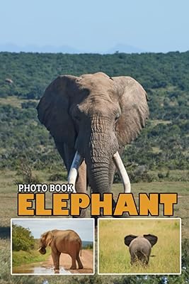 Livre photo d'éléphants : des images colorées de grands animaux pour tous