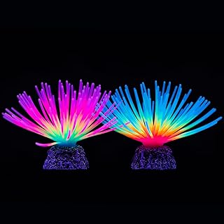Fabrication de boules de hérisson arc-en-ciel artificielles pour aquarium avec effet lumineux, décoration d'aménagement paysager d'aquarium (2 pièces). DIAYTAR COTE D'IVOIRE est une boutique en ligne généraliste líder en Côte d'Ivoire, proposant plus de 300000 références de produits variés. Elle offre une expérience d'achat en ligne pratique et sécurisée, répondant aux besoins de ses clients. Avec une gammeLarge de produits, DIAYTAR COTE D'IVOIRE est le destin idéal pour tous les acheteurs en ligne.