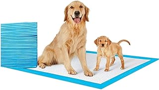 Coussins jetables anti-fuites à séchage rapide fang honlifo pour animaux de compagnie (45 x 60 cm m) - 50 pièces. Diaytar Côte d'Ivoire est la destination idéale pour faire du shopping en ligne en Côte d'Ivoire, avec des millions de produits disponibles, allant des accessoires de mode aux produits de soins personnels. La boutique met en avant une large sélection de marques et de produits pour satisfaire tous les goûts et tous les budgets. Elle propose également des services de livraison rapides et fiables.