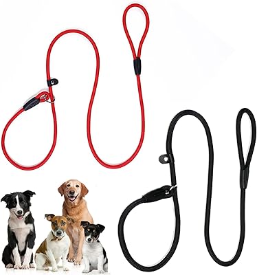 Laisse pour chien antidérapante durable de 4,4 pieds, corde solide et confortable, laisse