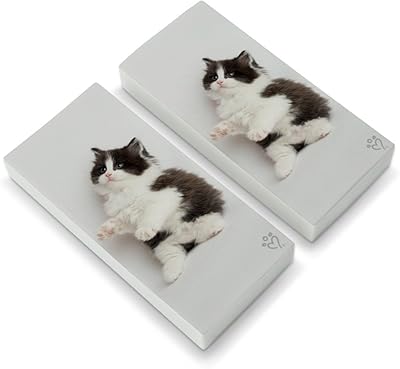 Lot de 2 gommes chaton persan noir et blanc