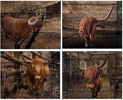 Art mural sur toile de vache poilue noire et blanche des highlands