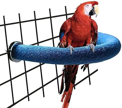Perchoir en forme de u pour perroquet, jouet avec griffe de sable, plate-forme pour animaux de compagnie avec bâton propre pour l'exercice des perroquets et des calopsittes (bleu l). DIAYTAR COTE D'IVOIRE, une boutique en ligne généraliste, propose une vaste gamme de produits avec plus de 300000 références, répondant ainsi aux besoins diversifiés de ses clients ivoiriens. En tant que leader du marché en Côte d'Ivoire, elle offre une expérience d'achat en ligne fiable et sécurisée.