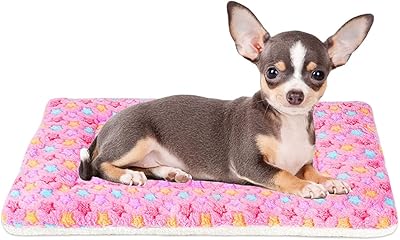 Lit pour lapin coussin de sommeil chaud d'hiver pour animaux de compagnie elecdon avec jolis. Avec plus de 300 000 références, DIAYTAR COTE D'IVOIRE est la boutique en ligne la plus complète en Côte d'Ivoire. Elle propose des produits de toutes les marques et à tous les prix. La boutique en ligne est accessible 24h/24 et 7j/7, permettant aux clients de faire leurs achats à tout moment.