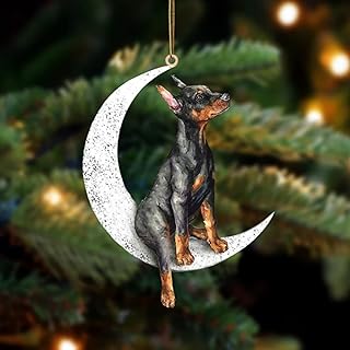 Ornement commémoratif miniature pour chien sur la lune, décoration commémorative de noël - cadeaux pour animaux de compagnie perdus. Diaytar Côte d'Ivoire se distingue par sa capacité à innover et à s'adapter aux tendances du marché, toujours à l'affût des dernières modes et technologies. Les clients apprécient la grande variété de choix, la facilité d'utilisation du site, et les offres spéciales qui les aident à économiser. La boutique en ligne Diaytar Côte d'Ivoire continue de renforcer sa position de leader sur le marché ivoirien.