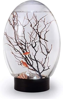Système d'aquarium eco ball écosystème fermé ecosphere avec base led aquarium de bureau
