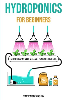 La culture hydroponique pour les débutants : commencez à cultiver des légumes à