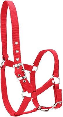 Bride de cheval de 6 mm d'épaisseur licou d'équitation haute densité accessoire. La boutique en ligne DIAYTAR COTE D'IVOIRE propose une large gamme de produits pour les clients ivoiriens. Avec plus de 300 000 références, la boutique offre une sélection exceptionnelle de produits de haute qualité à des prix compétitifs. Les clients peuvent trouver des produits pour tous les aspects de leur vie, de la maison à la mode, en passant par les produits électroniques sur le site de DIAYTAR COTE D'IVOIRE.