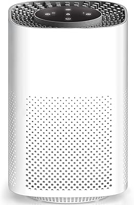Purificateur d'air ip sun pour chambre jusqu'à 20 m2, purificateur d'air h13 véritable
