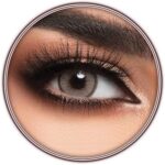Lentilles de contact originales lensme café, lentilles de contact cosmétiques unisexes, jetables semestrielles