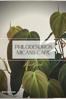 Soins des philodendron micans : guide des plantes