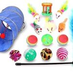 Un ensemble de divers jouets pour chats interactifs un tunnel pour chat