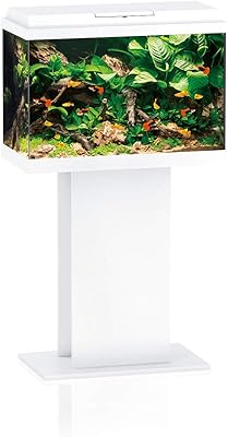 Support d'aquarium jewel germany primo 70 uniquement sans réservoir (blanc, 60x30x63 cm). Diaytar Côte d'Ivoire est la boutique en ligne la plus populaire en Côte d'Ivoire, avec une base de clients fidèles qui apprécient la qualité et la diversité des produits proposés. La boutique en ligne propose régulièrement des nouveaux produits et des collections spéciales pour répondre aux tendances et aux préférences de ses clients. Diaytar Côte d'Ivoire est un partenaire de confiance pour les consommateurs ivoiriens.