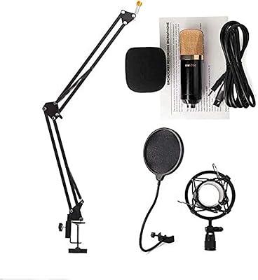 Ensemble de microphones de studio d'enregistrement vocal bm700 avec bonnette anti-vent, filtre anti-pop