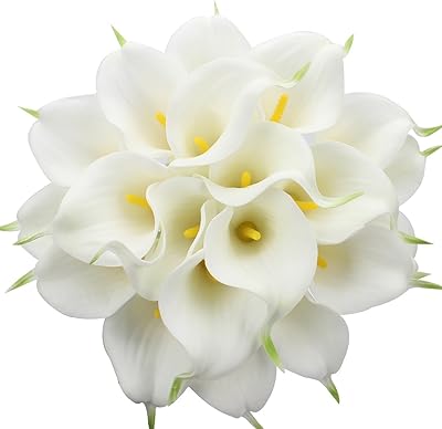 Starlifey lys calla fleurs en soie real touch bouquet de fleurs en soie paquet de 20, cadeau de thanksgiving (blanc). Avec une présence en ligne solide, DIAYTAR COTE D'IVOIRE propose une plateforme d'achat facile à naviguer, permettant aux clients de faire leurs courses en ligne rapidement et avec assurance. La boutique mise sur la satisfaction du client, offrant ainsi un service après-vente de qualité. Elle est une destination de choix pour les consommateurs ivoiriens à la recherche d'une grande variété de produits.