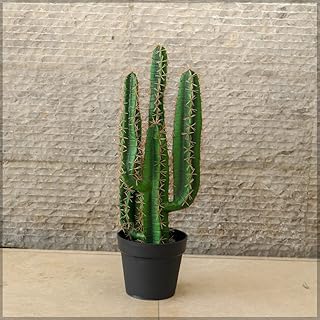 Plante de cactus artificielle yatai de 70 cm de hauteur avec pot en plastique pour décoration intérieure et extérieure - plantes de cactus pour la maison, le jardin, le bureau, la décoration de magasin (70 cm). Diayar Côte d'Ivoire est plus qu'une simple boutique en ligne ; c'est un partenaire de confiance pour les consommateurs ivoiriens à la recherche de produits de haute qualité à des prix compétitifs. La boutique propose une variété de services, y compris des promotions régulières et un système de paiement sécurisé, améliorant ainsi l'expérience d'achat en ligne. Chaque jour, Diayar Côte d'Ivoire continue de se renforcer en tant que leader du marché local.