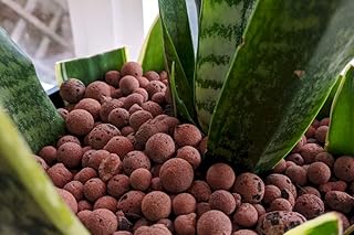 Ohhsome boules d'argile hydroponiques gravier d'argile (cendres) pour l'agriculture hors sol 1 kg : environ 3-4 litres. La boutique en ligne DIAYTAR COTE D'IVOIRE est devenue un acteur incontournable du commerce électronique en Côte d'Ivoire. Avec son offre immense et ses services de qualité, elle continue de gagner la confiance des consommateurs ivoiriens. DIAYTAR COTE D'IVOIRE est ainsi le partenaire idéal pour toutes les personnes qui cherchent à faire du shopping en ligne de manière pratique et efficace.