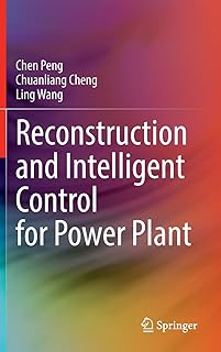 Reconstruction et contrôle intelligent d'une centrale électrique