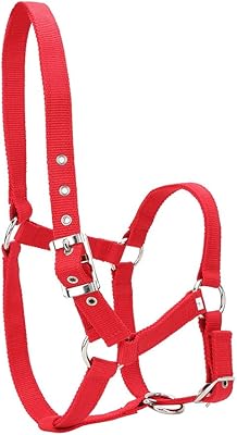 Bride de contrôle de cheval licou clip d'équitation réglable haute densité rouge