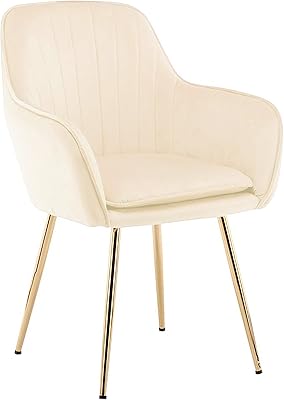 Une chaise luxueuse pour la salle à manger, le salon et la salle