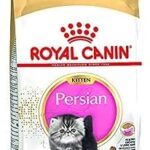 Nourriture royal canin adaptée à l'alimentation des chatons de race persane, 2 kg